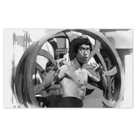 fototapety-520x318-bruce-lee-karateka