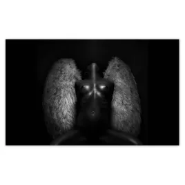 fototapety-520x318-akty-nagosc-milosc-foto
