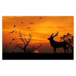 fototapety-520x318-jelen-i-zachod-slonca