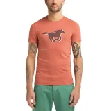 aaron-c-print-rozmiar-xxl-kod-producenta-10095227103