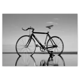 fototapety-416x290-rowery-rowerki-dwa-kolka
