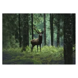 fototapety-416x290-piekny-jelen-wsrod-drzew