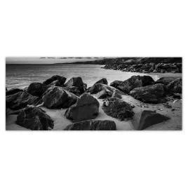 fototapety-250x104-glazy-na-plazy-czarno-biale-zdjecie