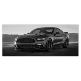 fototapety-250x104-ford-mustang-samochod-usa