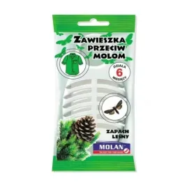 ravi-zawieszka-na-mole-lesna