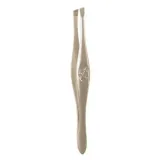 intervion-peseta-499373
