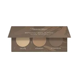 pierre-rene-brow-paleta-cieni-do-brwi-dark-brown-3
