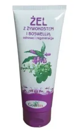 gorvita-zel-na-bole-miesniowo-stawowe-z-zywokostem-i-boswellia-200-ml