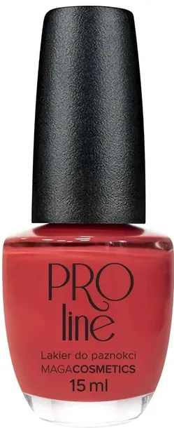 maga-lakier-pro-line-040