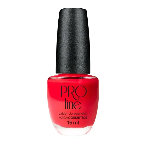 maga-lakier-pro-line-032