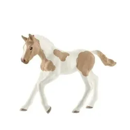 zrebie-rasy-paint-horse-slh13886