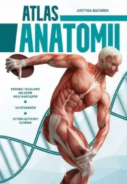 atlas-anatomii-derform
