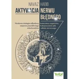 aktywacja-nerwu-blednego-naukowe-strategie-odbudowy-homeostazy-organizmu