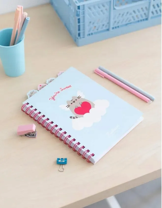 pusheen-notes-z-ozdobnymi-znacznikami