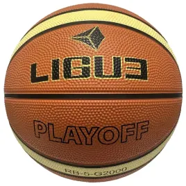 pilka-do-koszykowki-do-kosza-koszowa-ligue-playoff-r5