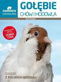 zwierzeta-hodowlane-golebie-chow-i-hodowla-multico