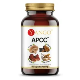 yango-apcc-100-k-kompleks-grzybow