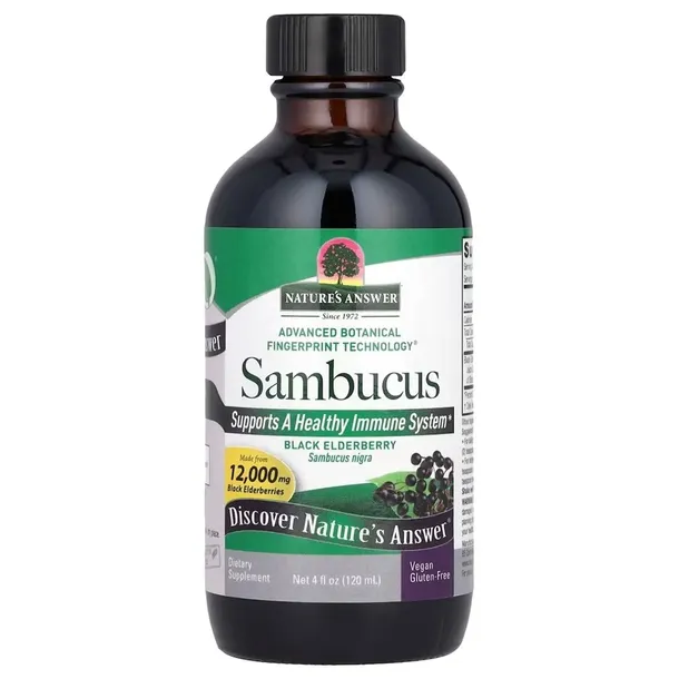 sambucus