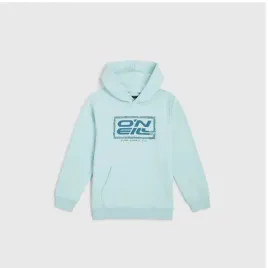 dziecieca-bluza-o-neill-logo-hoodie-128