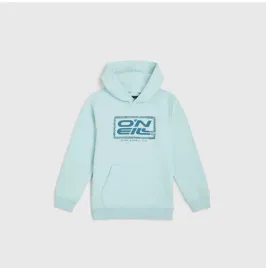 dziecieca-bluza-o-neill-logo-hoodie-140