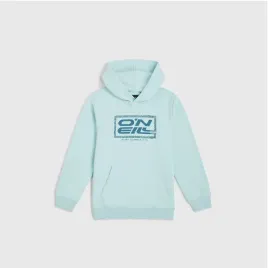 dziecieca-bluza-o-neill-logo-hoodie-152