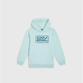 dziecieca-bluza-o-neill-logo-hoodie-176