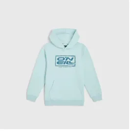 dziecieca-bluza-o-neill-logo-hoodie-164