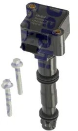 cewka-zaplonowa-delphi-gn10949-12b1