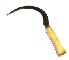 sierp-zabkowany-zniwiarz