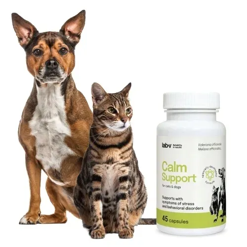 lab-v-calm-support-na-stres-45-kapsulek-rodzaj-suplementy