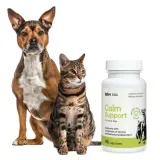 lab-v-calm-support-na-stres-45-kapsulek-rodzaj-suplementy