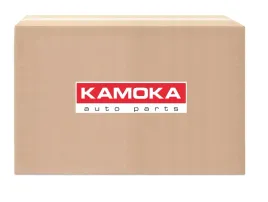 pompa-ukladu-chlodzenia-kamoka-t0111
