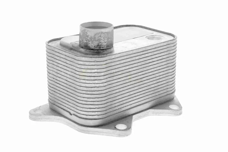 chlodnica-oleju-numer-katalogowy-oryginalu-audi-06k-117-021-b-audi-06k-117-021-g-audi-06k-117-021-k-skoda-06k-117-021-g-skoda-06k-117-021-k-vag-06k-117-021-b-vag-06k-117-021-g-vag-06k117021k-vag-06k-117-021-k-vag-6k-117-021-b-vw-06k-117-021-b-vw-06k-117-021-g-vw-06k-117-021-k