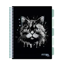 kolozeszyt-a4-100-pads-animals-kot-czarny-strigo