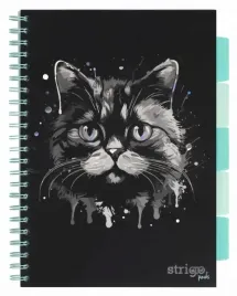 kolozeszyt-b5-100-pads-animals-kot-czarny-strigo