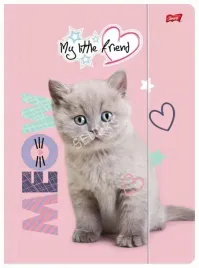 teczka-z-gumka-a4-my-little-friend-fluffy-kitty-st-majewski