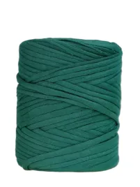 przedza-wloczka-t-shirt-yarn-zielony-zgnity-100m