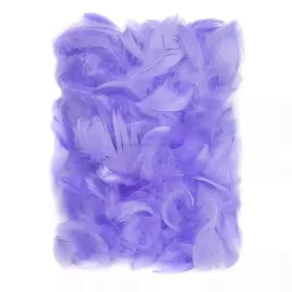 piorka-5-12-cm-ilosc-10-g-lilac-cepi-019-dp-craft