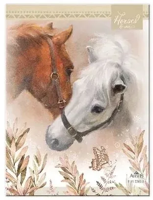 notes-9x12cm-horses-and-me-argus