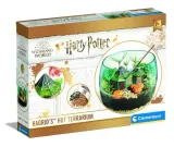 harry-potter-terrarium