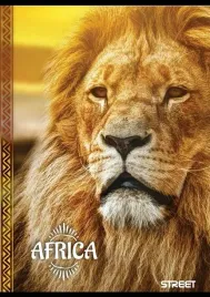 zeszyt-street-africa-a6-40-argus