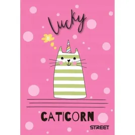 zeszyt-street-my-cat-a6-40-argus
