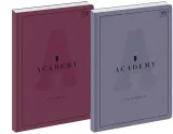 brulion-a4-96-academy-interdruk-stan-nowy