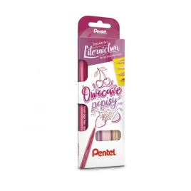 zestaw-do-liternictwa-brush-sign-pen-ses15-4-kol-p
