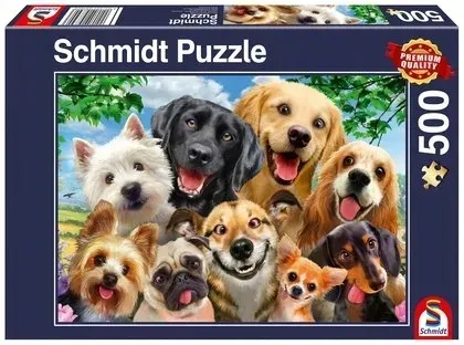 pq-puzzle-500-el-psy-robia-selfie