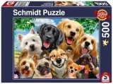 pq-puzzle-500-el-psy-robia-selfie