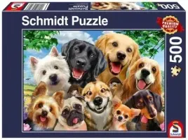 pq-puzzle-500-el-psy-robia-selfie