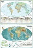 mapa-swiata-a2-dwustronna-scienna-art-map-art-map