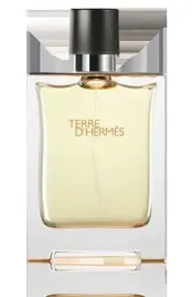 hermes-terre-d-hermes-eau-de-toilette-100ml