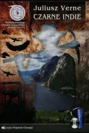 czarne-indie-audiobook-qes-qes-agency